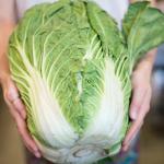 Chinese Cabbage (commons.wikimedia.org - Sous Chef Photos - CC-BY-2.0)